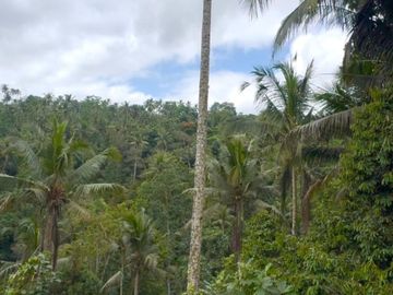 DIJUAL TANAH PREMIUM JUNGLE VIEW DI KELIKI, TEGALLALANG UBUD BALI