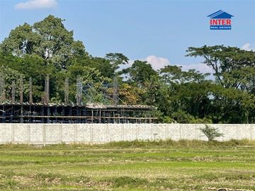 22 rai 15 sq.wa. vacant land for sale near Wat Sankamphaeng, Chiang Mai-Sankamphaeng Road, Sankamphaeng, Chiang Mai.