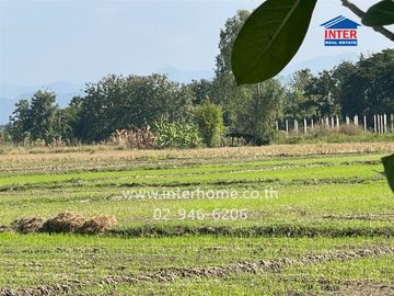 22 rai 15 sq.wa. vacant land for sale near Wat Sankamphaeng, Chiang Mai-Sankamphaeng Road, Sankamphaeng, Chiang Mai.