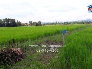22 rai 15 sq.wa. vacant land for sale near Wat Sankamphaeng, Chiang Mai-Sankamphaeng Road, Sankamphaeng, Chiang Mai.