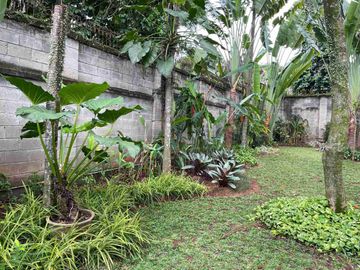 RUMAH DGN TAMAN LUAS DI PONCOL RAYA CIRENDEU