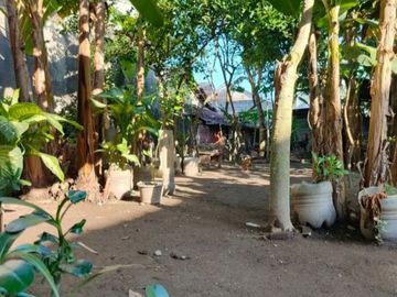 Rumah Luas Murah di Sewon Bantul#Kode : RSH 075
