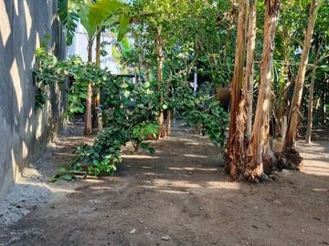 Rumah Luas Murah di Sewon Bantul#Kode : RSH 075