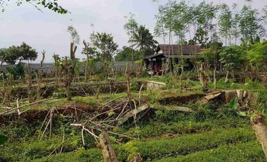 DIJUAL CEPAT TANAH DAN KOLAM IKAN