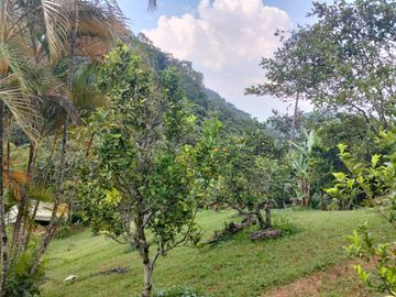 ALQUILO EXCELENTE FINCA CON SERVICIOS INCLUIDOS AL OESTE DE CALI EN PICHINDE.