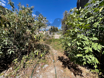 Terreno en Venta ubicado en San Pablo Tepetlapa, Coyoacán, CDMX