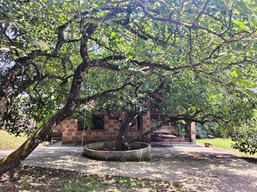 Casa en renta en Tepoztlán Morelos, en zona boscosa