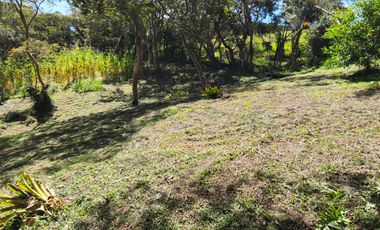 🌿 ¡FINCA EN VENTA EN MONIQUIRÁ – BOYACÁ!