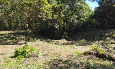 🌿 ¡FINCA EN VENTA EN MONIQUIRÁ – BOYACÁ!