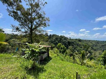 Tanah Los Sungai Full View Jungle Ubud Bali