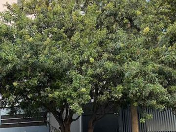 Departamento de lujo amueblado en León moderno muy cerca de Poliforum , , salida a Silao ,