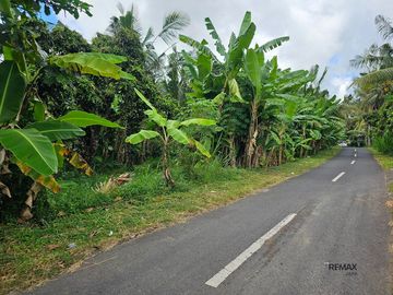 Tanah 115 Are di Lokasi Strategis Dijual di Kubutambahan, Buleleng