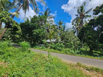 Tanah 115 Are di Lokasi Strategis Dijual di Kubutambahan, Buleleng