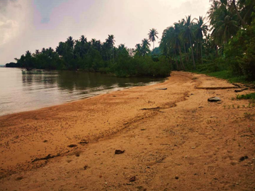 Beachfront Property For Sale at Palawan