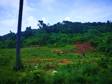 Beachfront Property For Sale at Palawan