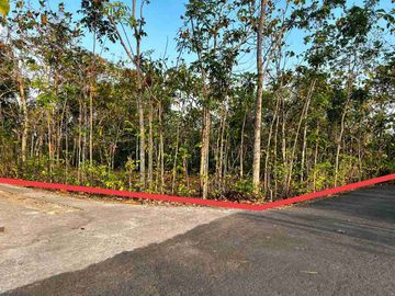 Jual tanah murah shm di Wisata Goa Pindul Gunungkidul 759 m2 hanya 100 jt nego