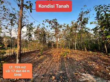 Jual tanah murah shm di Wisata Goa Pindul Gunungkidul 759 m2 hanya 100 jt nego