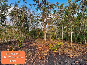 Jual tanah murah shm di Wisata Goa Pindul Gunungkidul 759 m2 hanya 100 jt nego