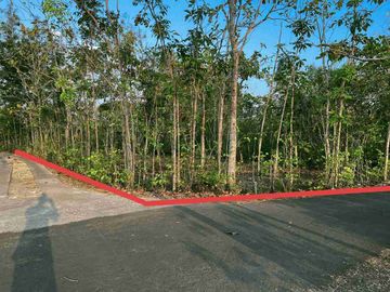 Jual tanah murah shm di Wisata Goa Pindul Gunungkidul 759 m2 hanya 100 jt nego
