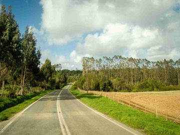 campos ganaderos en venta