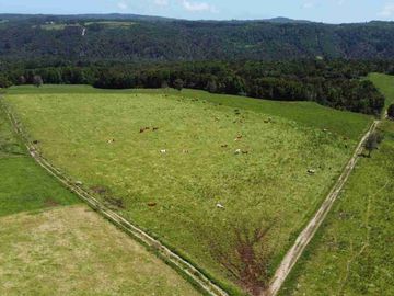 campos ganaderos en venta