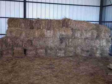 campo ganaderos en venta 250 hectáreas