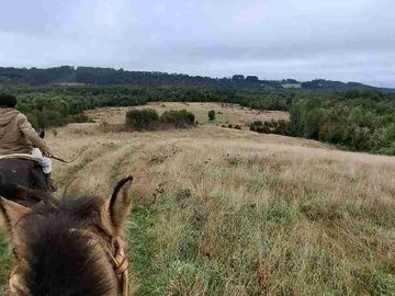 campo ganaderos en venta 250 hectáreas