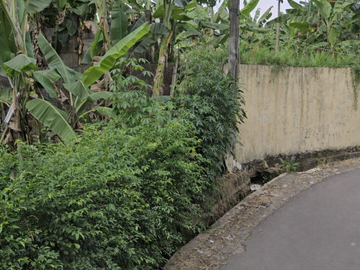 DIJUAL KAVLING DI BELAKANG WISMA BCA BSD FORESTA