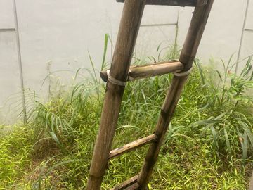 Dijual Rumah Minimalis Siap Huni (3.5 Lantai, Furniture Dari Developer) Cluster Imajihaus Greenwich BSD City