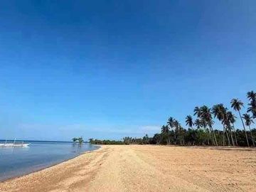1.6 Hectare Prime Farm Lot for Sale in San Andres, Quezon | Near Highway & Tourist Spots