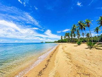 1.6 Hectare Prime Farm Lot for Sale in San Andres, Quezon | Near Highway & Tourist Spots