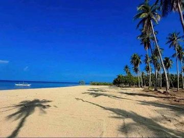 1.6 Hectare Prime Farm Lot for Sale in San Andres, Quezon | Near Highway & Tourist Spots