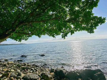 Beach front