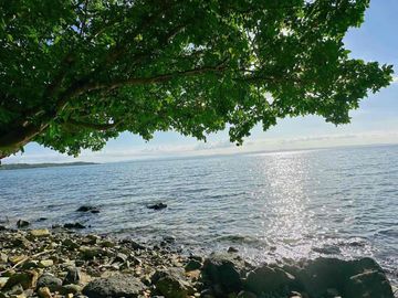 Beach front
