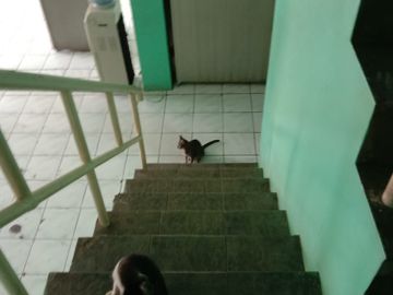 Dijual Ruko Gandeng Perumnas 2 di Sentra Karawaci By Rumah Chinida (Hn)