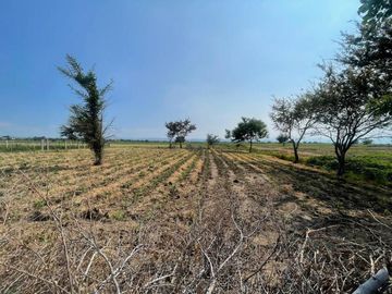 📣💲SE VENDEN 1,000m2 de terreno 📍PAZULCO MORELOS