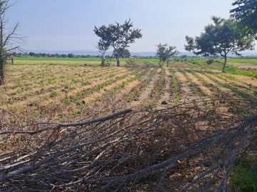 📣💲SE VENDEN 1,000m2 de terreno 📍PAZULCO MORELOS