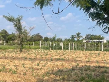 📣💲SE VENDEN 1,000m2 de terreno 📍PAZULCO MORELOS