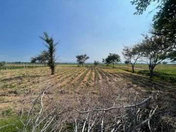 📣💲SE VENDEN 1,000m2 de terreno 📍PAZULCO MORELOS