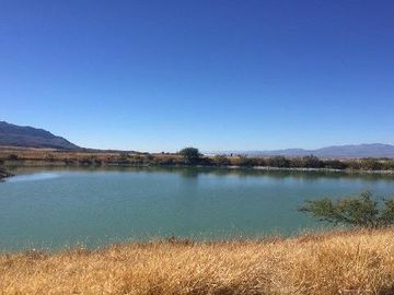 Rancho en Venta en Tabasco, Zacatecas, cuenta con 350 hectáreas
