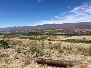 Rancho en Venta en Tabasco, Zacatecas, cuenta con 350 hectáreas