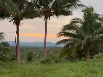 Agricultural Lot for Sale Brgy. Cahil, Calaca City 1 Hectare
