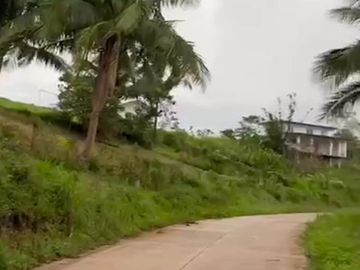 Agricultural Lot for Sale Brgy. Cahil, Calaca City 1 Hectare