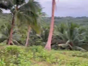 Agricultural Lot for Sale Brgy. Cahil, Calaca City 1 Hectare