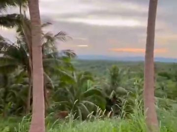 Agricultural Lot for Sale Brgy. Cahil, Calaca City 1 Hectare