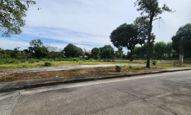 4,356 sqm Prime Vacant Lot for Sale in Ayala Alabang, Muntinlupa City Near Alabang Town Center & Molito Lifestyle Center