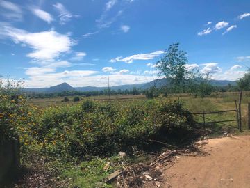 Agricultural Lot for Sale – Prime Investment Opportunity in San Jose, Tarlac
