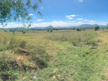 Agricultural Lot for Sale – Prime Investment Opportunity in San Jose, Tarlac