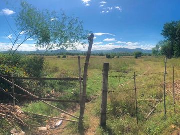 Agricultural Lot for Sale – Prime Investment Opportunity in San Jose, Tarlac