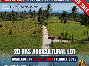 20 Hectares Agricultural Lot for Sale Located in Calaca Batangas – ₱320M RAS